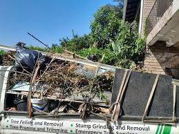  Level Plains, AL Junk Removal Pros